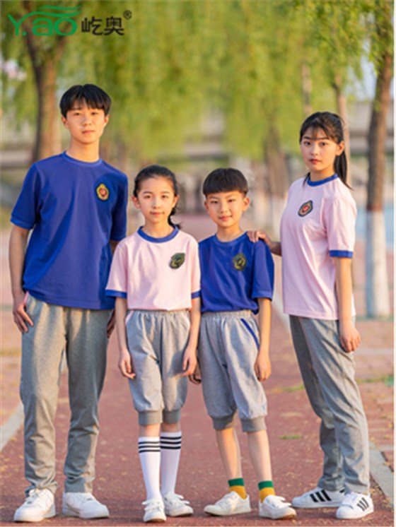屹奧網站2019小、初、高新款夏季校服套裝